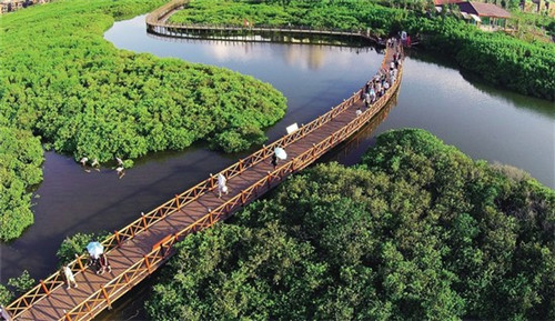 临高县别墅2025能买吗？临高别墅43平方~